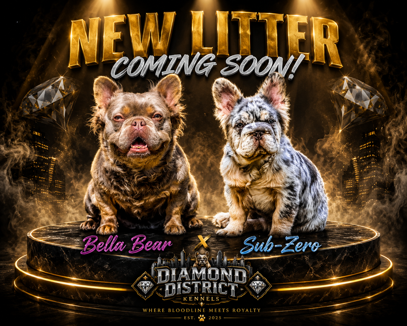 Sub-Zero × Bella Bear announcement flyer